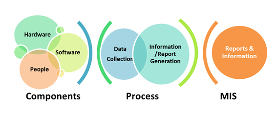 Figure 1: Management Information System (MIS) Structure