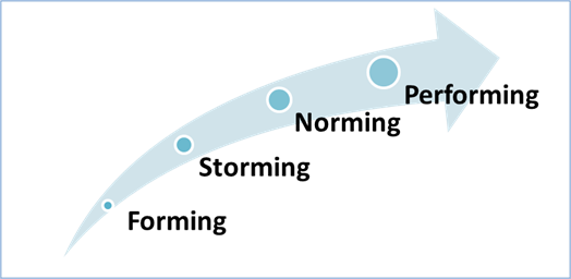 Figure 1: Six Sigma Project Team Stages